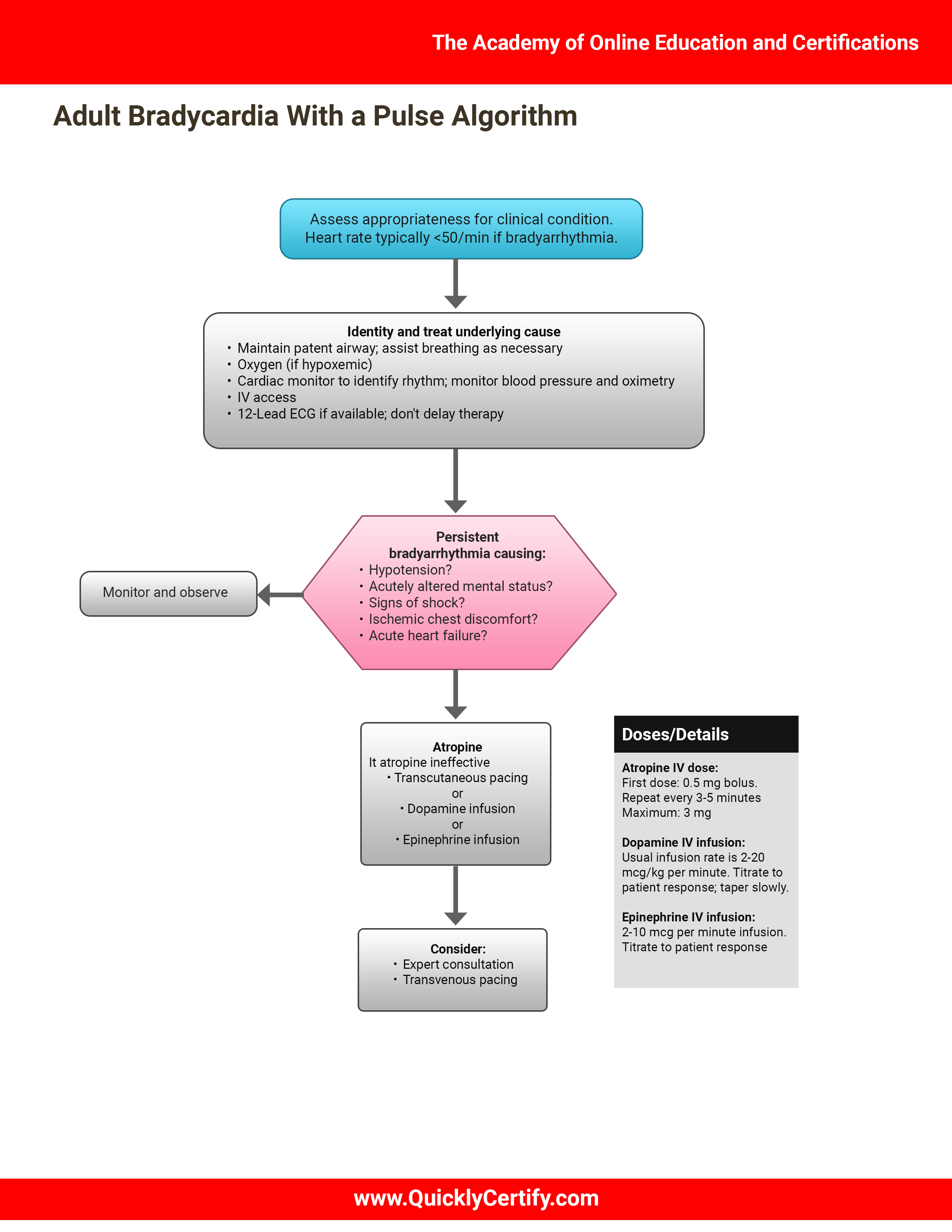 Acls Bradycardia Algorithm Acls Advanced Cardiac Life - vrogue.co